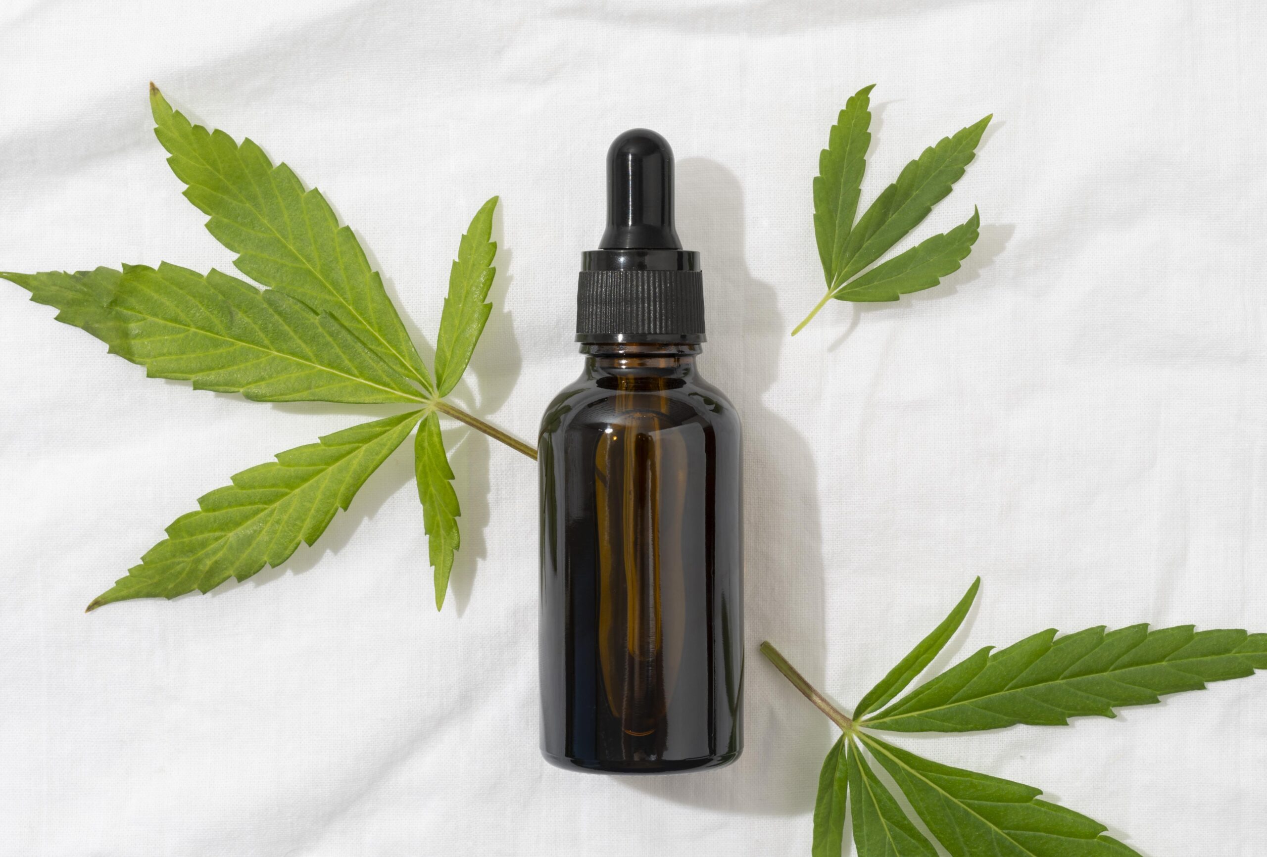 cbd oil